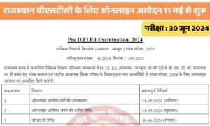 Rajasthan BSTC 2024 Notification