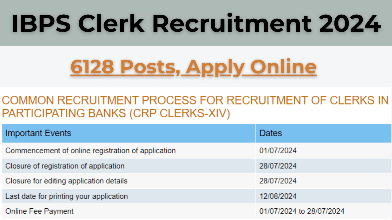 IBPS Clerk Recruitment 2024 आईबीपीएस क्लर्क के 6128 पदो पर निकली भर्ती आवेदन करे